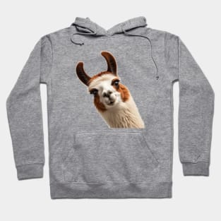 Funny Sneaky Llama Hoodie